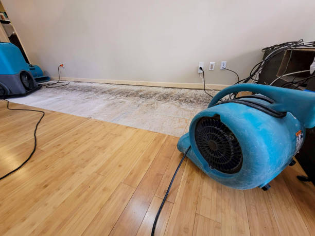 Professional Burst Pipe Water Damage technician working in Crawfordsville, AR